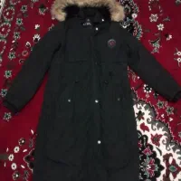 پالتو زنانه|لباس|سنقر, |دیوار