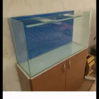 اکواریوم درحد نوشرکتی شیشه خم همراه میز ام دی اف|ماهی|زنجان, |دیوار
