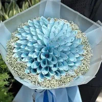 کادو لوکس|گل و گیاه طبیعی|محمدیه-قزوین, |دیوار