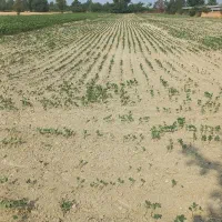 فروش خونه ویلایی دربندرگز