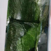 سبزی خورشت تازه