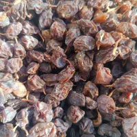 مویز|عمدهفروشی|نورآباد ممسنی, |دیوار