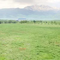 جویای کار