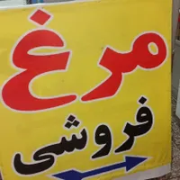مرغ فروش روبه روی آژانس بهمن در لوشان