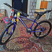 دوچرخه 24 اینتنز|دوچرخه، اسکیت، اسکوتر|ایوان, |دیوار