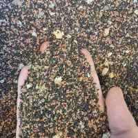 پخش عمده ادویه، گیاهان دارویی و روغن گیاهی|عمده‌فروشی|قم, قلعه کامکار|دیوار