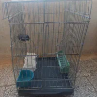 قفس پرنده