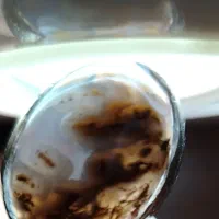 معاوضه انگشتر  با حیوانات مزرعه جوجه اردک پاد