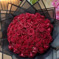 گل رز|گل و گیاه طبیعی|شیراز, کوی زهرا|دیوار