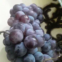 فروش سیاه و جیغجیغاو...