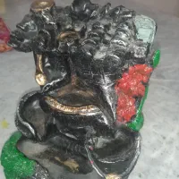 لوازم تزیینی آکواریوم|ماهی|کرج, شهرک فهمیده|دیوار