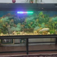 آکواریوم یک متر نیم