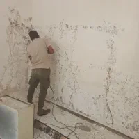 سمپاشی (هرکی کارخوب براش مهمه ) موریانه وحشرات
