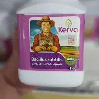 کود بیولوژیک و ارگانیک (ویلا و مزارع برنج)|گل و گیاه طبیعی|سرخرود, |دیوار