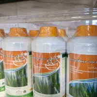 سم اتلانتیس