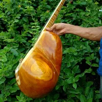 تارکارگاهی|سازهای سنتی|تهران, افسریه شمالی|دیوار