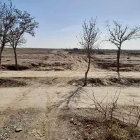 زمین ابتدای باغرود سند تک‌برگ ۱۰۰۰ و ۵۰۰ سهمی