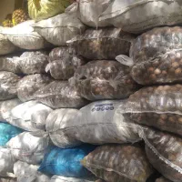 خریدسیب خشک