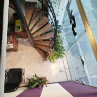 تجاری-بر-اصلی-پاخور