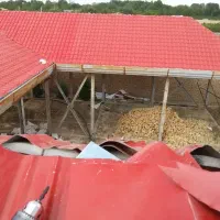 اجرای شیروانی|خدمات پیشه و مهارت|شهریار, شهریار|دیوار