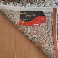 فرش ماشینی پاتریس مشهد|فرش|گنبد کاووس, |دیوار