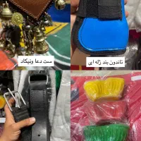 فروشگاه لوازم سوارکاری|اسب و تجهیزات اسب‌سواری|دزفول, |دیوار