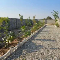 باغچه سنددار شهرکی با آب دائم معاوضه با خودرو|فروش زمین و ملک کلنگی|شهریار, اصیل آباد|دیوار