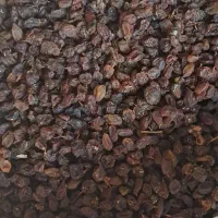 کشمش و مویز