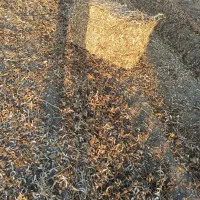 پرس سویا درجه یک|عمده‌فروشی|پارس‌آباد, |دیوار