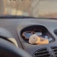 خودرو پژو ۲۰۶ تیپ ۲ مدل ۸۴