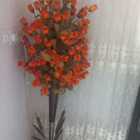 دو عدد شیشه