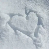 زمین زید سفلی