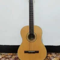 گیتار مارک سانتانا در حدنو