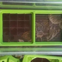 سبزی خورد کن  پرین|خردکن، آسیاب، غذاساز|قوچان, |دیوار