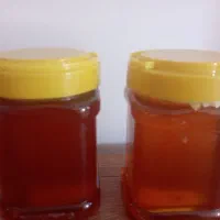 عسل طبیعی عمده و خرده