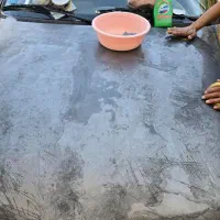 احیای رنگ خودرو تضمینی|خدمات موتور و ماشین|صدرا-فارس, فاز ۱|دیوار