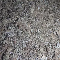 کودیابارکفتر|خدمات باغبانی و درختکاری|بردسکن, |دیوار