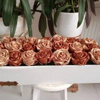 میز|صنایع دستی و سایر لوازم تزئینی|مشهد, کلاته برفی|دیوار