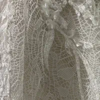 لباس عروس سنگ کاری شده|لباس|رضوانشهر, |دیوار