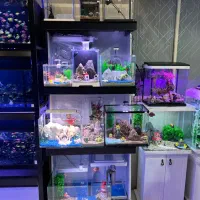 آکواریوم ماهینا ، هدیه ای ماندگار