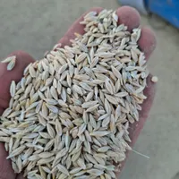 فروش