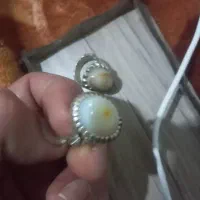 فروشی|کلکسیون اشیاء عتیقه|پرند, فاز ۳|دیوار