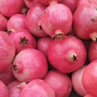 انار|حراج|کوهنانی, |دیوار