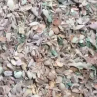 پوست بادام تمیز و بدون آشغال