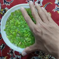 کاهوی ابی|ماهی|شیراز, محراب|دیوار