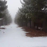 فروش-زمین-باغ-شهری-پزشکان-تپه-سبز-دوکوهک