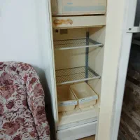 یخچال فریز ارج