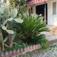 اجاره-ویلا-در-نمک-آبرود-کیاکلا