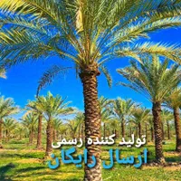 خانه سبز نخل ویلا باغ درخت شیرین ثمر