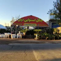 laquo-شراکت-پردرآمد-گل-و-گیاه-برند-ثبت-شده-raquo